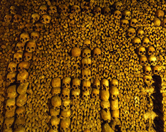 Arranged Skulls