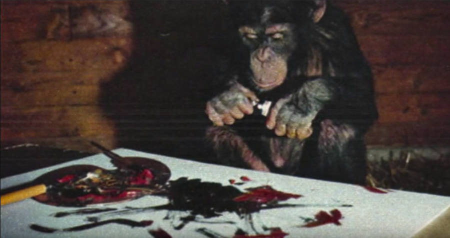 Pierre Brassau Sampling Paint