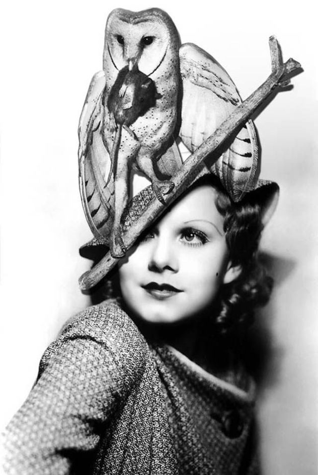 Vintage Portraits of Women Wearing Bird Hats From the Early 20th ...