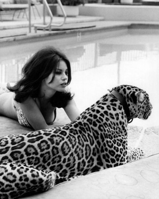 Vintage Photographs of Lana Wood With Her Leopard in the 1960s ...