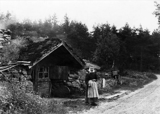 The Backstuga: Survival in Sweden’s Forests | Vintage News Daily