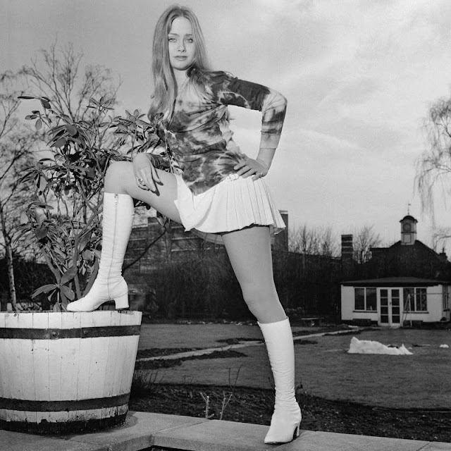 Who is Linda Hayden? Unraveling the Iconic Scream Queen
